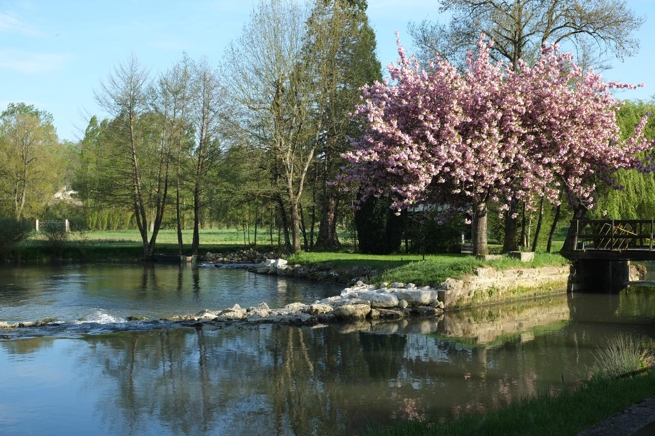 Moulin De Bacchus - Chateaux De La Loire Chançay Dış mekan fotoğraf