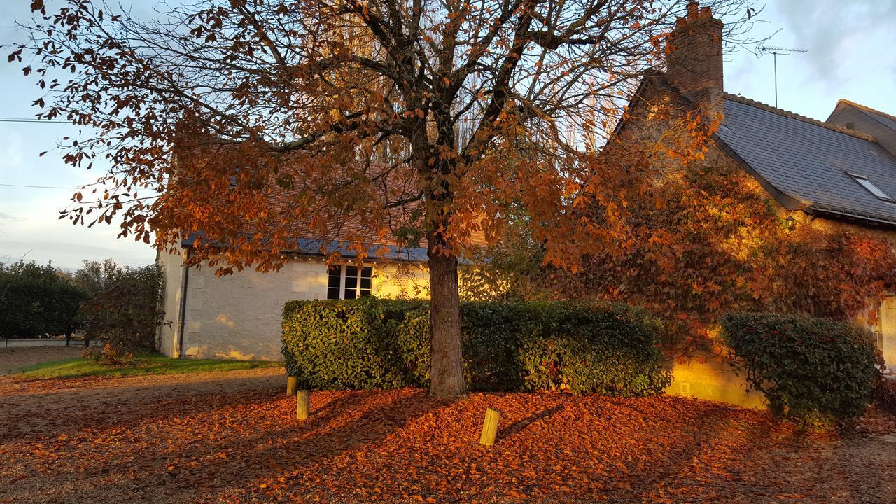 Moulin De Bacchus - Chateaux De La Loire Chançay Dış mekan fotoğraf