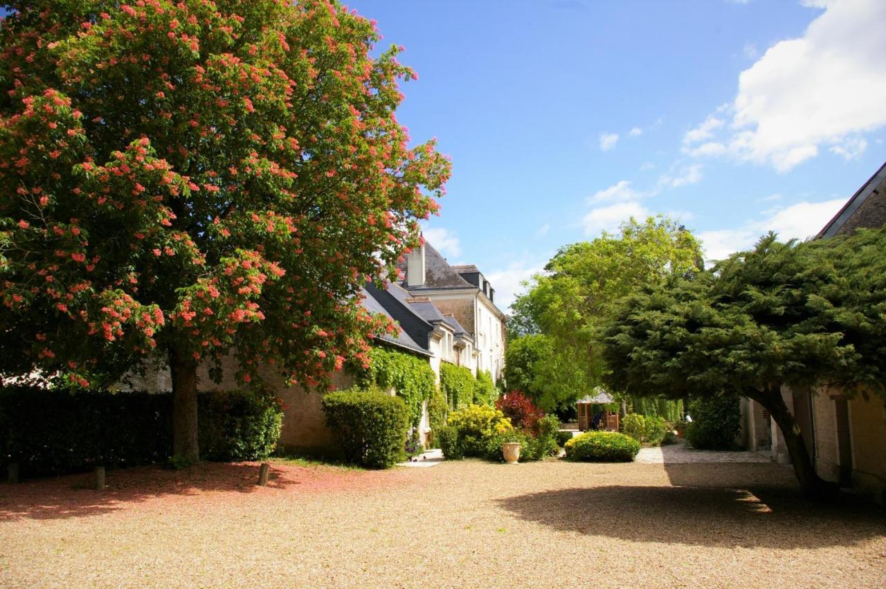 Moulin De Bacchus - Chateaux De La Loire Chançay Dış mekan fotoğraf